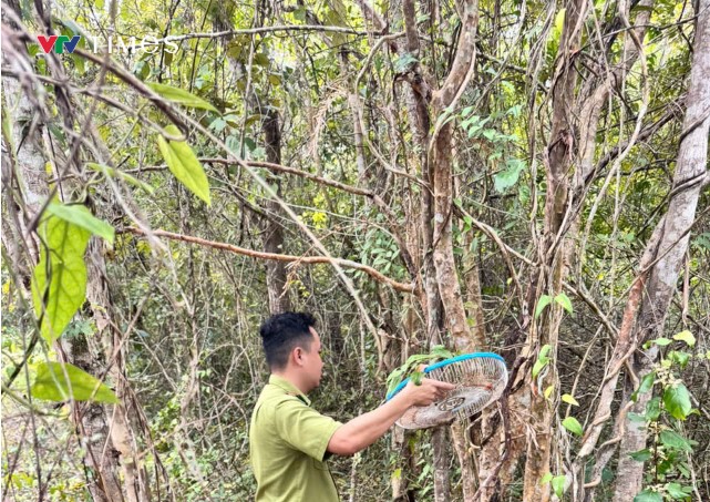 Annotation 2025-02-13 134831